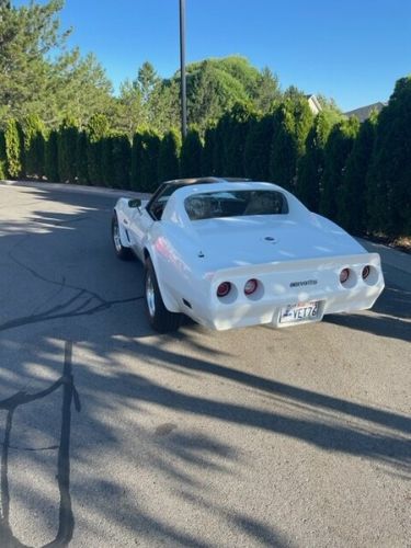 Chevrolet-Corvette-1976-White-Tan-5