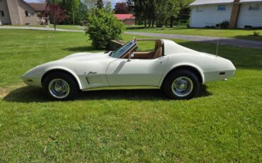 Chevrolet-Corvette-1976-White-Tan-6