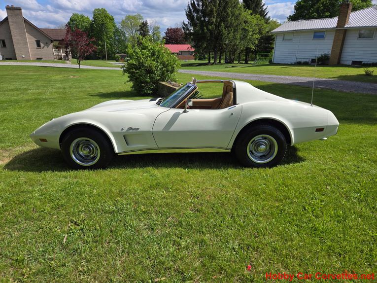 Chevrolet-Corvette-1976-White-Tan-6