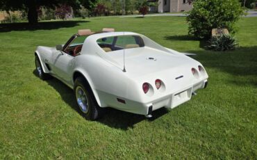 Chevrolet-Corvette-1976-White-Tan-7