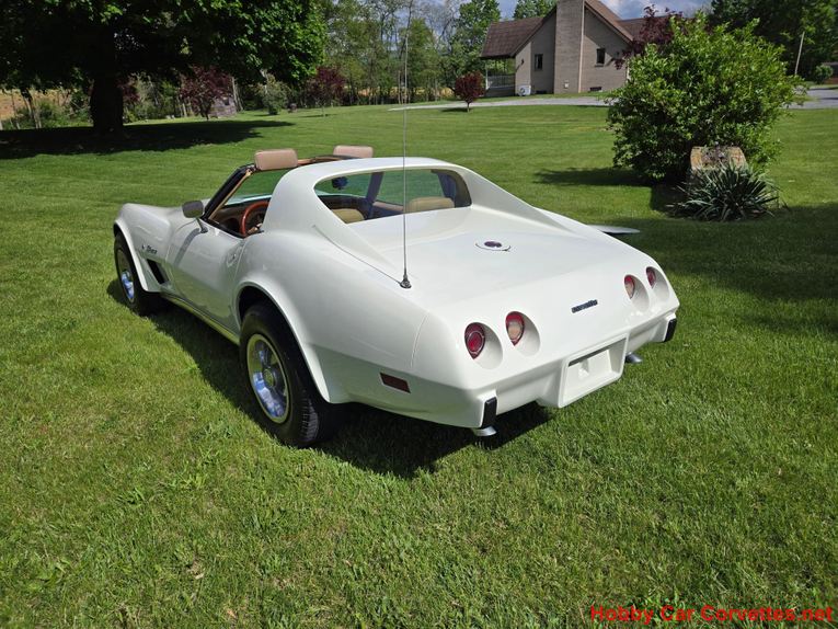 Chevrolet-Corvette-1976-White-Tan-7