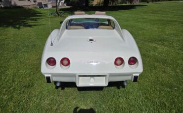Chevrolet-Corvette-1976-White-Tan-8