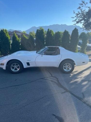 Chevrolet-Corvette-1976-White-Tan