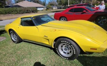 Chevrolet-Corvette-1976-Yellow-4