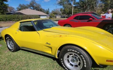 Chevrolet-Corvette-1976-Yellow-8