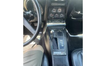 Chevrolet-Corvette-1976-Yellow-Black-4