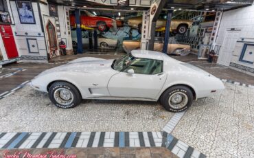 Chevrolet-Corvette-1977-31