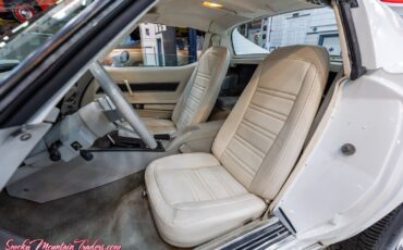 Chevrolet-Corvette-1977-39