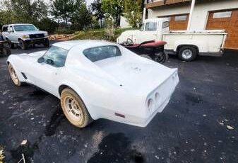 Chevrolet-Corvette-1977-4