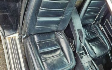 Chevrolet-Corvette-1977-Black-11