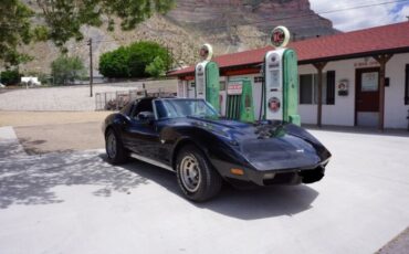 Chevrolet-Corvette-1977-Black-Black-11