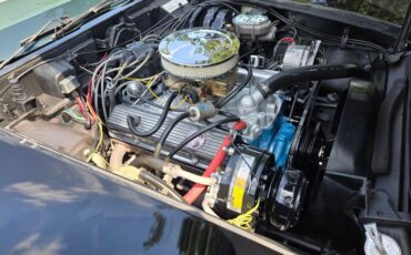 Chevrolet-Corvette-1977-Black-Smoke-13