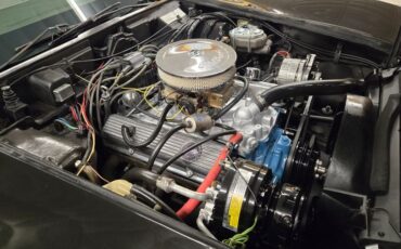 Chevrolet-Corvette-1977-Black-Smoke-2