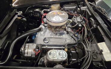 Chevrolet-Corvette-1977-Black-Smoke-20