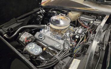 Chevrolet-Corvette-1977-Black-Smoke-21