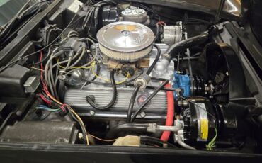 Chevrolet-Corvette-1977-Black-Smoke-3