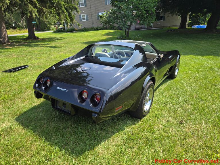 Chevrolet-Corvette-1977-Black-Smoke-32