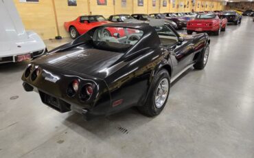 Chevrolet-Corvette-1977-Black-Smoke-34