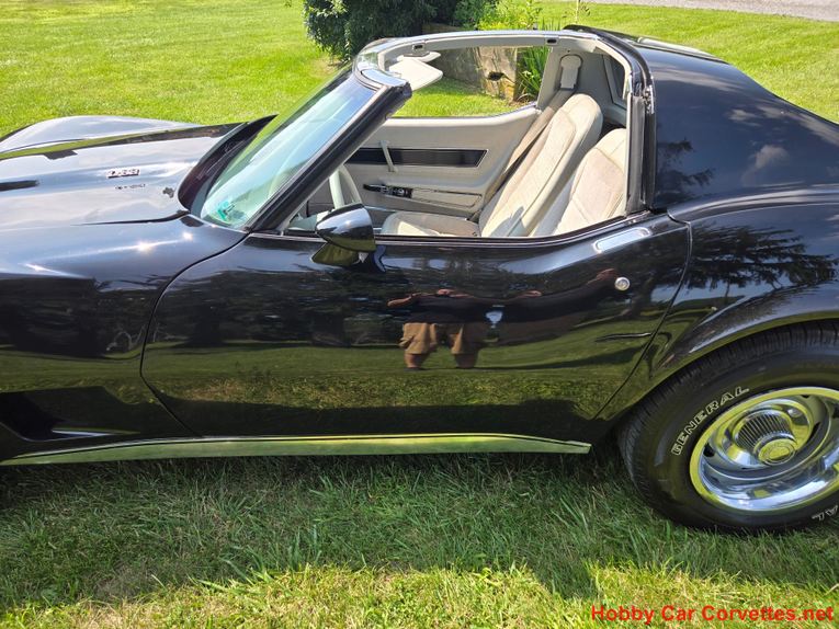 Chevrolet-Corvette-1977-Black-Smoke-6