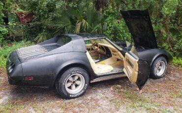 Chevrolet-Corvette-1977-Black-Tan-10