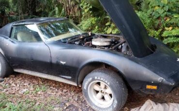 Chevrolet-Corvette-1977-Black-Tan-11