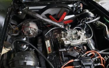 Chevrolet-Corvette-1977-Black-Tan-3