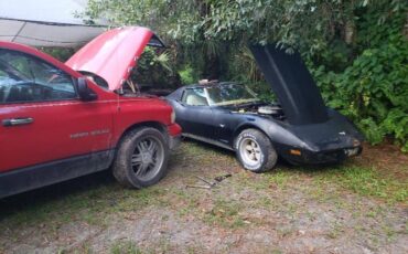 Chevrolet-Corvette-1977-Black-Tan-6