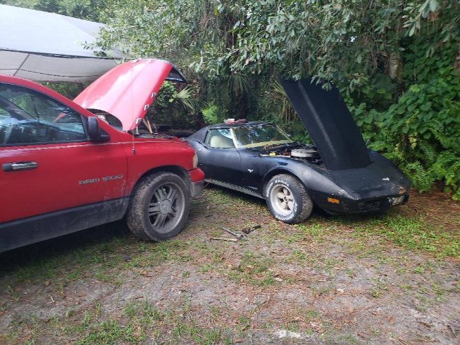 Chevrolet-Corvette-1977-Black-Tan-6
