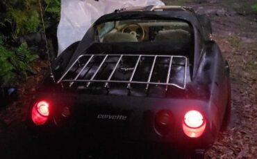 Chevrolet-Corvette-1977-Black-Tan-9