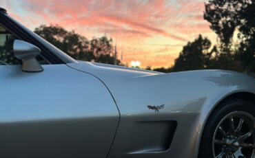 Chevrolet-Corvette-1977-Coupe-10