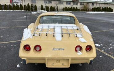 Chevrolet-Corvette-1977-Cream-Brown-leather-14