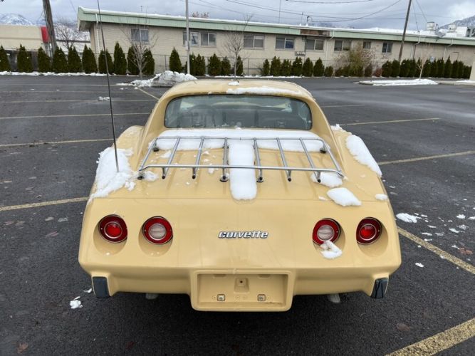 Chevrolet-Corvette-1977-Cream-Brown-leather-14