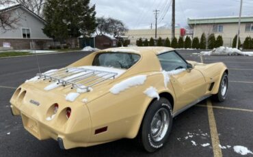 Chevrolet-Corvette-1977-Cream-Brown-leather-15