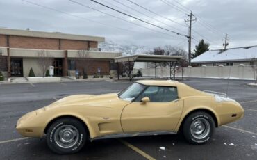 Chevrolet-Corvette-1977-Cream-Brown-leather-16