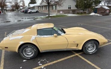 Chevrolet-Corvette-1977-Cream-Brown-leather-17
