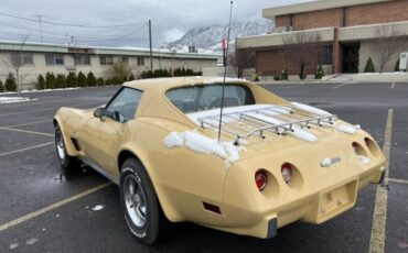 Chevrolet-Corvette-1977-Cream-Brown-leather-18