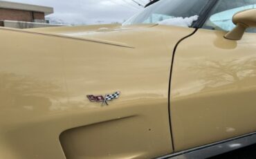 Chevrolet-Corvette-1977-Cream-Brown-leather-19