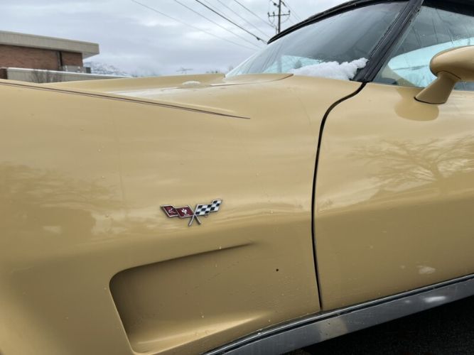 Chevrolet-Corvette-1977-Cream-Brown-leather-19