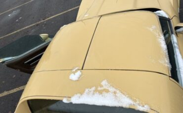 Chevrolet-Corvette-1977-Cream-Brown-leather-2