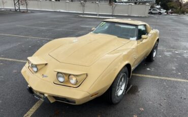 Chevrolet-Corvette-1977-Cream-Brown-leather-20