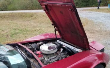 Chevrolet-Corvette-1977-Red-6