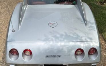 Chevrolet-Corvette-1977-Silver-1