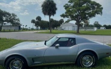 Chevrolet-Corvette-1977-Silver-Gray-Red-Leather-10