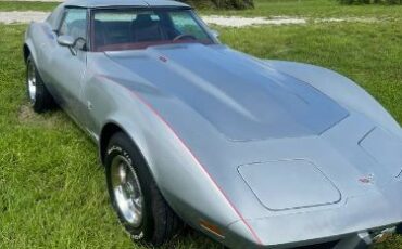 Chevrolet-Corvette-1977-Silver-Gray-Red-Leather-14