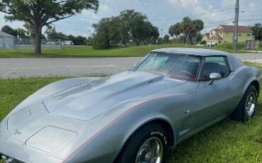 Chevrolet-Corvette-1977-Silver-Gray-Red-Leather-4