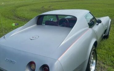 Chevrolet-Corvette-1977-Silver-Gray-Red-Leather-9