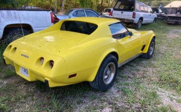 Chevrolet-Corvette-1977-Yellow-5