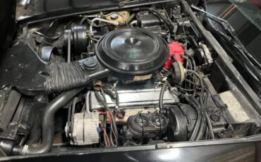 Chevrolet-Corvette-1978-Black-1