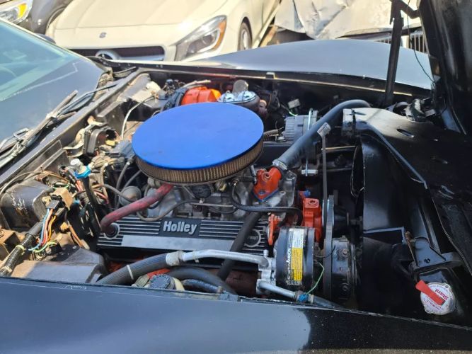 Chevrolet-Corvette-1978-Black-3