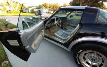 Chevrolet-Corvette-1978-Black-Black-11